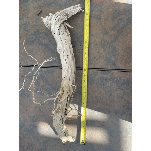 Natural Driftwood for Plants Terrarium Taxidermy Art Projects - Picture 3 of 4